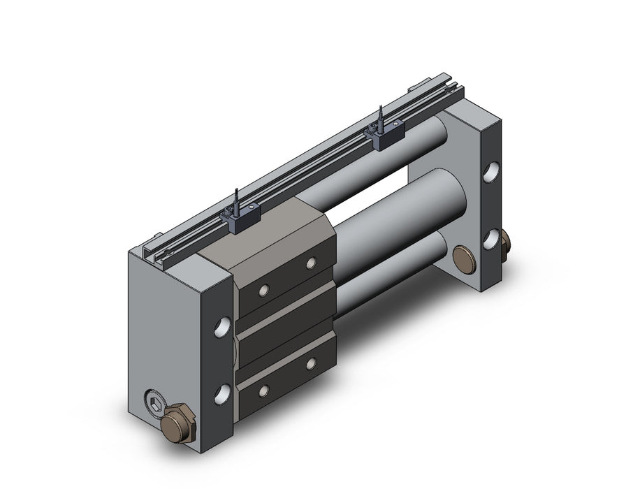 NCDY2S32H-0500-A72 NCY2S, Rodless Cylinder