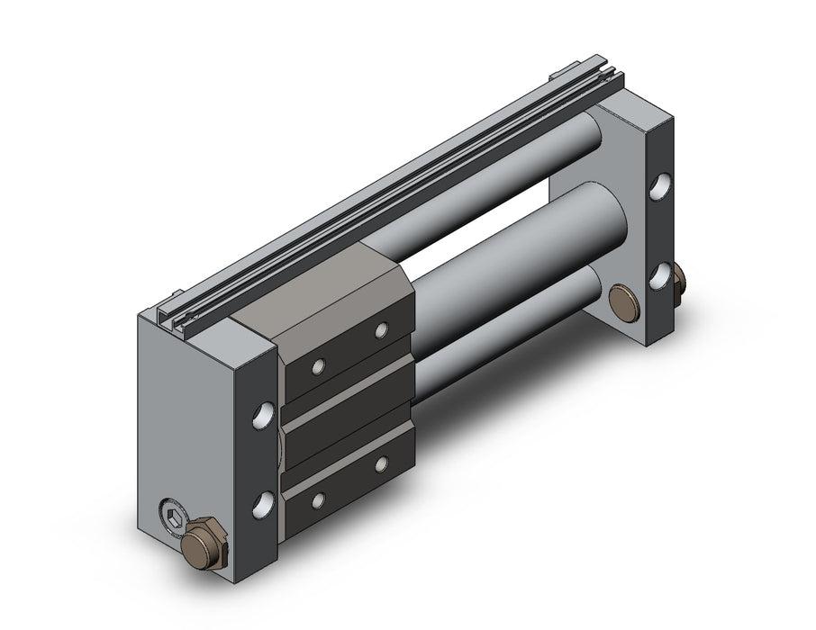 NCDY2S32H-0600 NCY2S, Rodless Cylinder