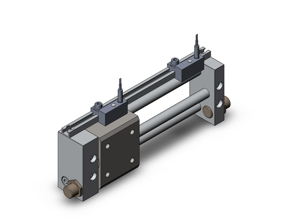 NCDY2S6H-0300-F7PVZ NCY2S, Rodless Cylinder