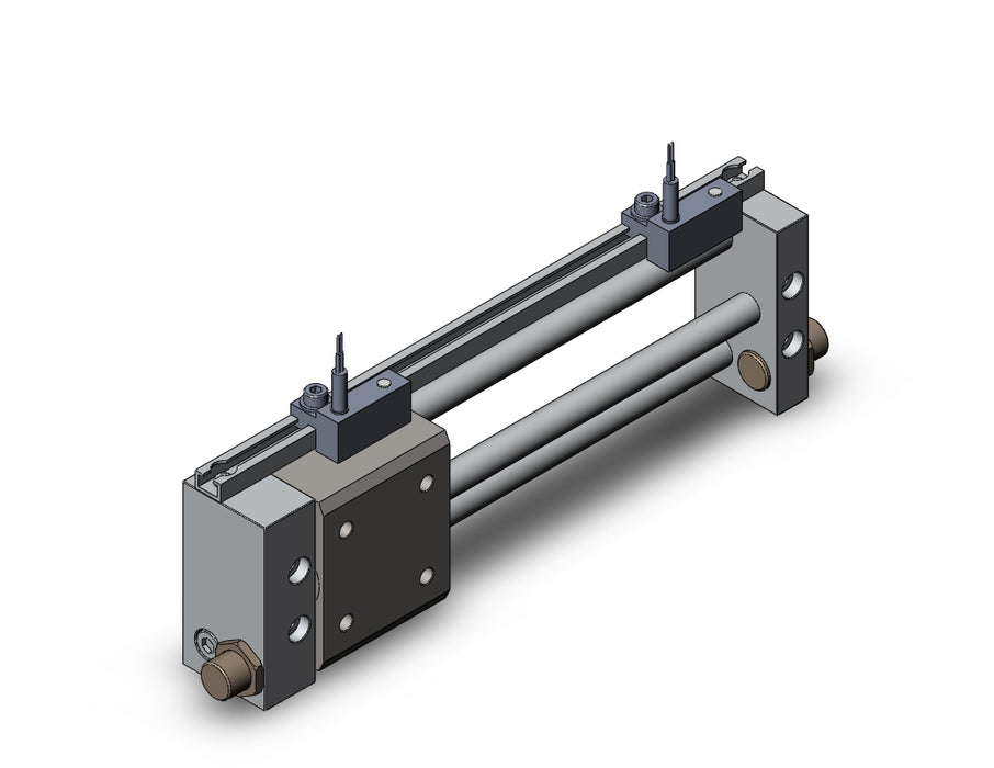 NCDY2S6H-0400-A73L NCY2S, Rodless Cylinder