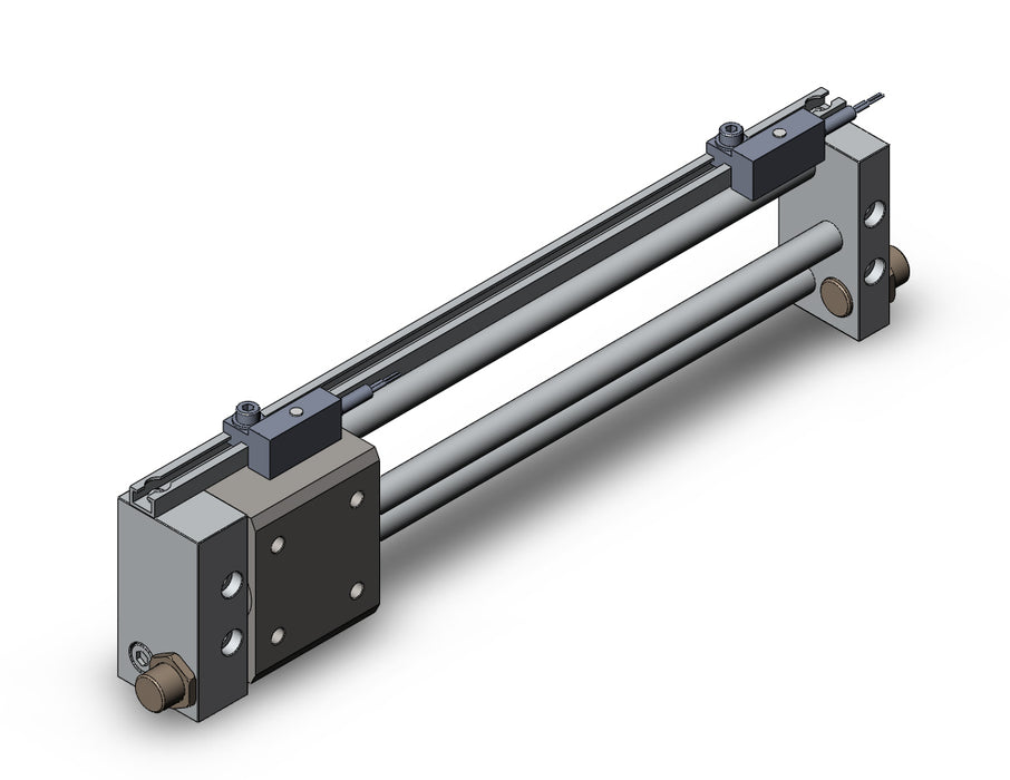 NCDY2S6H-0600-F79 NCY2S, Rodless Cylinder