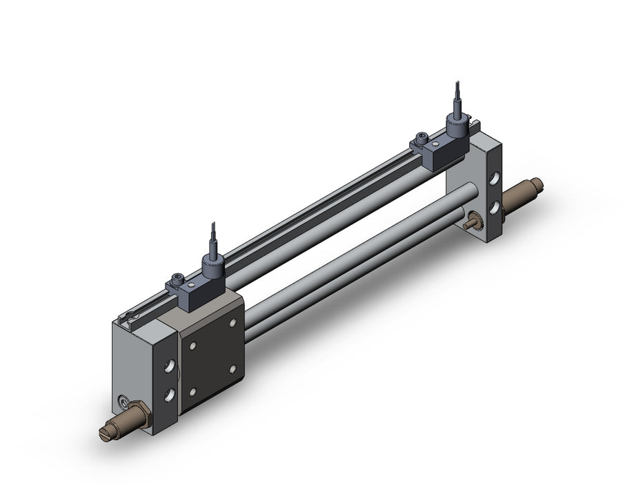 NCDY2S6H-0600BC-A73CL NCY2S, Rodless Cylinder