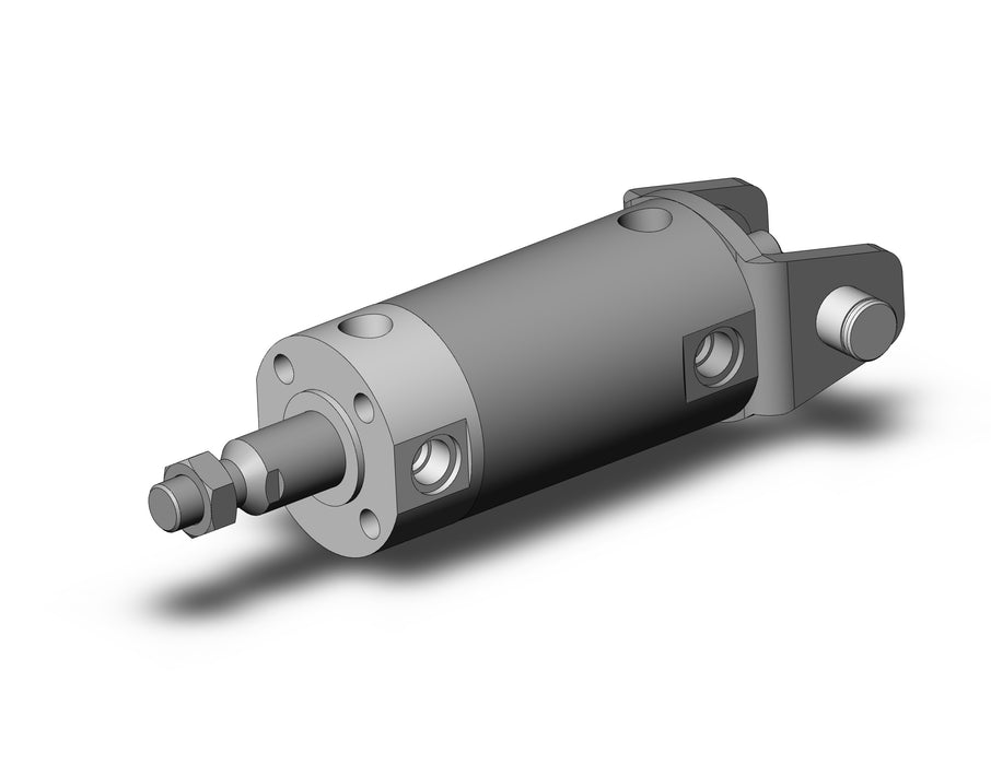 NCGDN50-0100 NCG Cylinder
