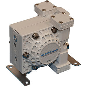 PA5110-F06 Process Pump
