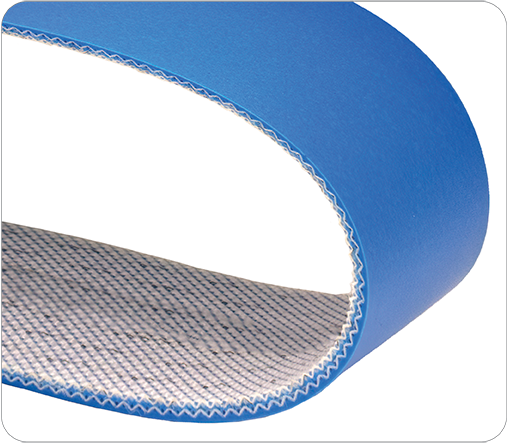 Conveyor belt wrapped in a half loop to show the blue polyurethane cover and the white fabric bottom and the fabric middle layer on a white background