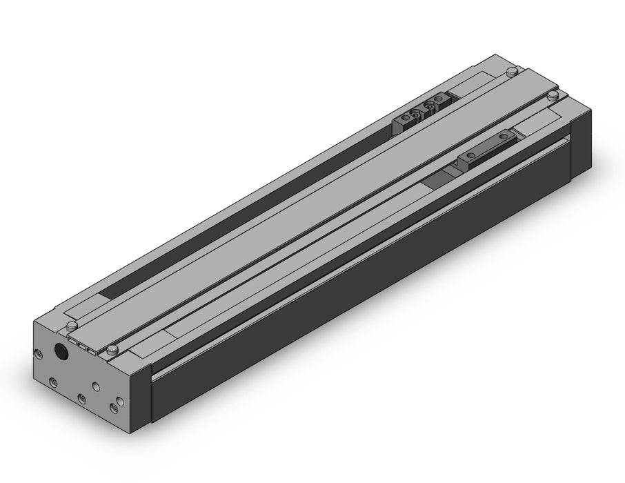 REAH10-200 REA, Sine Rodless Cylinder