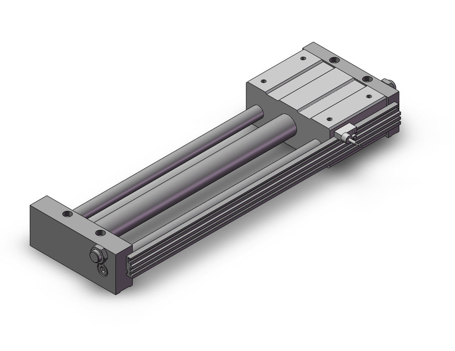 REAL25-300-A73CZS REA, Sine Rodless Cylinder