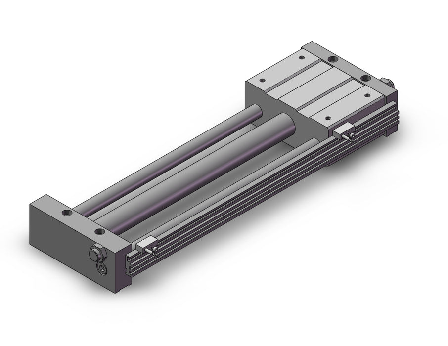 REAL25-300-F7NWV REA, Sine Rodless Cylinder
