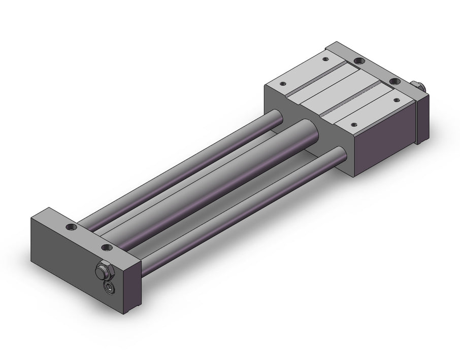 REAL25-300 REA, Sine Rodless Cylinder