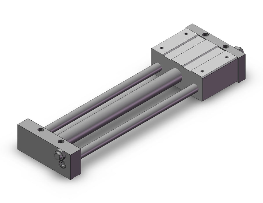 REAL25TN-300 REA, Sine Rodless Cylinder