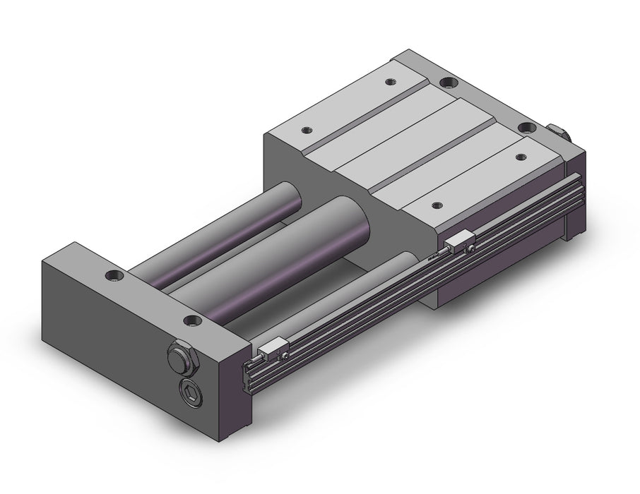 REAL40TN-200-F79Z REA, Sine Rodless Cylinder