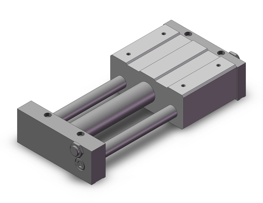 REAL40TN-200 REA, Sine Rodless Cylinder