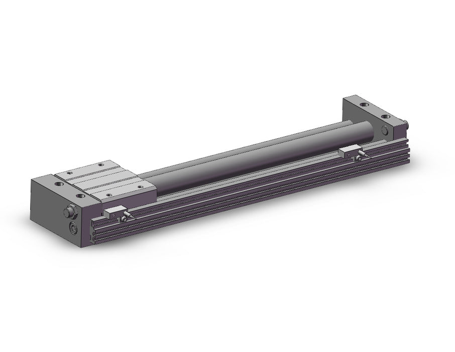REAS20-300-A73 REA, Sine Rodless Cylinder