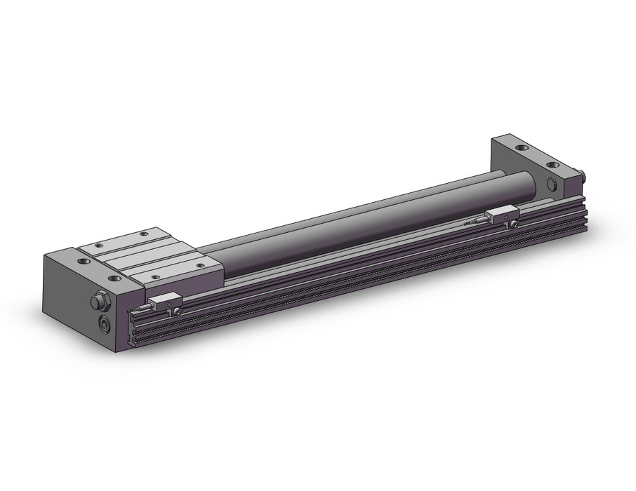 REAS20-300-F79 REA, Sine Rodless Cylinder