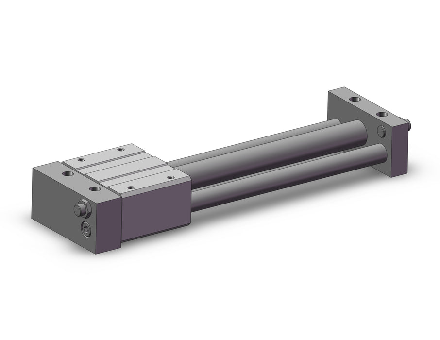 REAS20TN-200 REA, Sine Rodless Cylinder