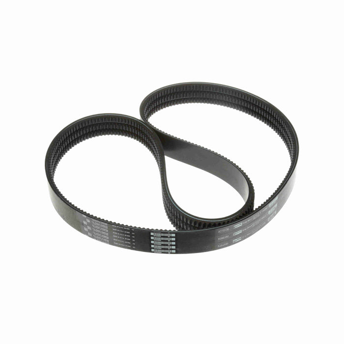 3 Ribbed BX Section Neoprene Banded Belt