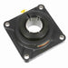 Sealmaster SF-36TC Mounted Ball Bearings, Black Oxide Bearing, 4 Bolt Flange Bearings, 2-1/4" Diameter, Cast Iron Housing, Concentric Locking, Contact Seal, Wide Inner Race