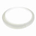 Conveyor Components Wear Strips UHMW White Chain Return 3/8" Thick 1" Wide 100ft Long 