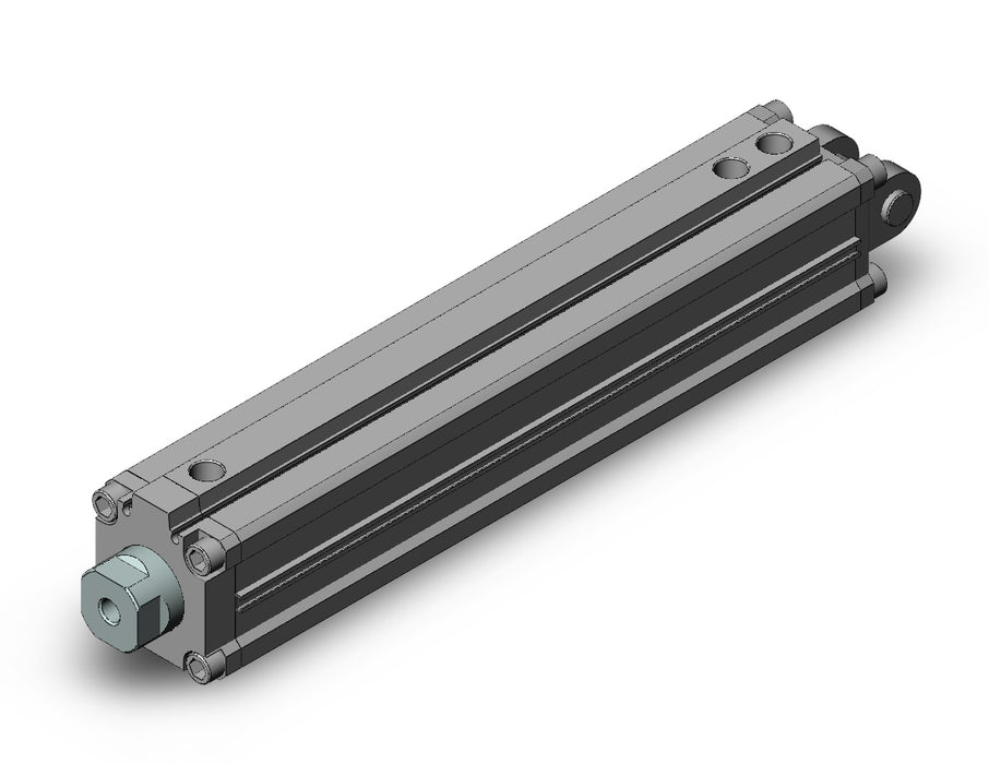 RZQD50TN-250-100 Cylinder, 3-Position