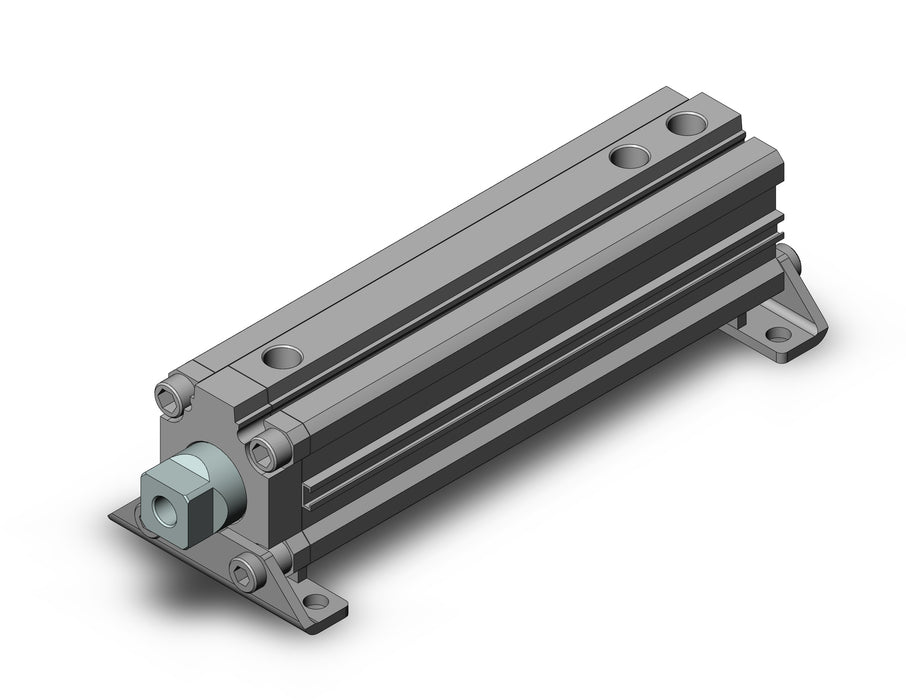 RZQL32-100-60 Cylinder, 3-Position