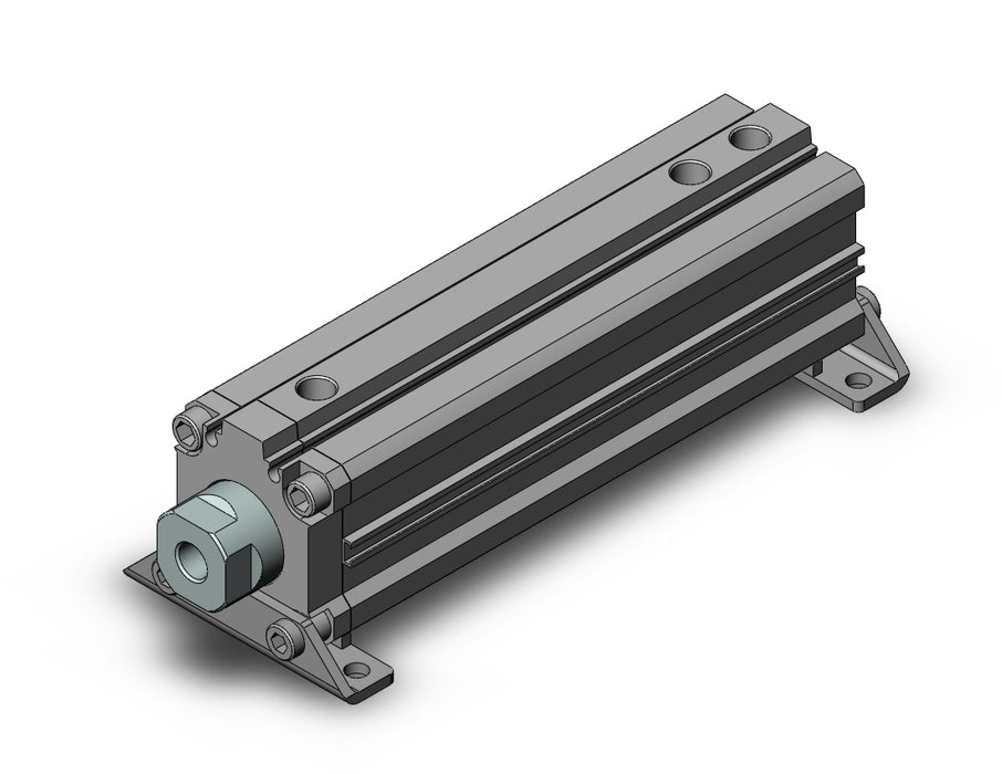 RZQL40TN-100-30 Cylinder, 3-Position