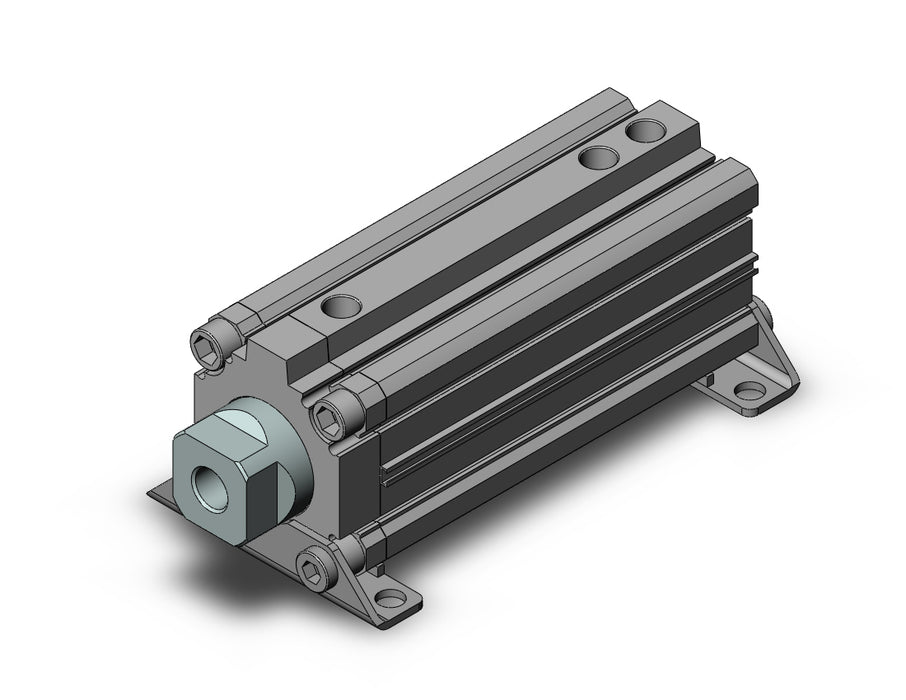 RZQL63TN-100-60 Cylinder, 3-Position