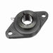 Mounted Cast Iron Two Bolt Flange Ball Bearing 52100 Bearing Steel, Black Oxided Inner Concentric Lock