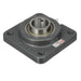 Mounted Cast Iron Four Bolt Flange Ball Bearing 52100 Bearing Steel Setscrew Lock