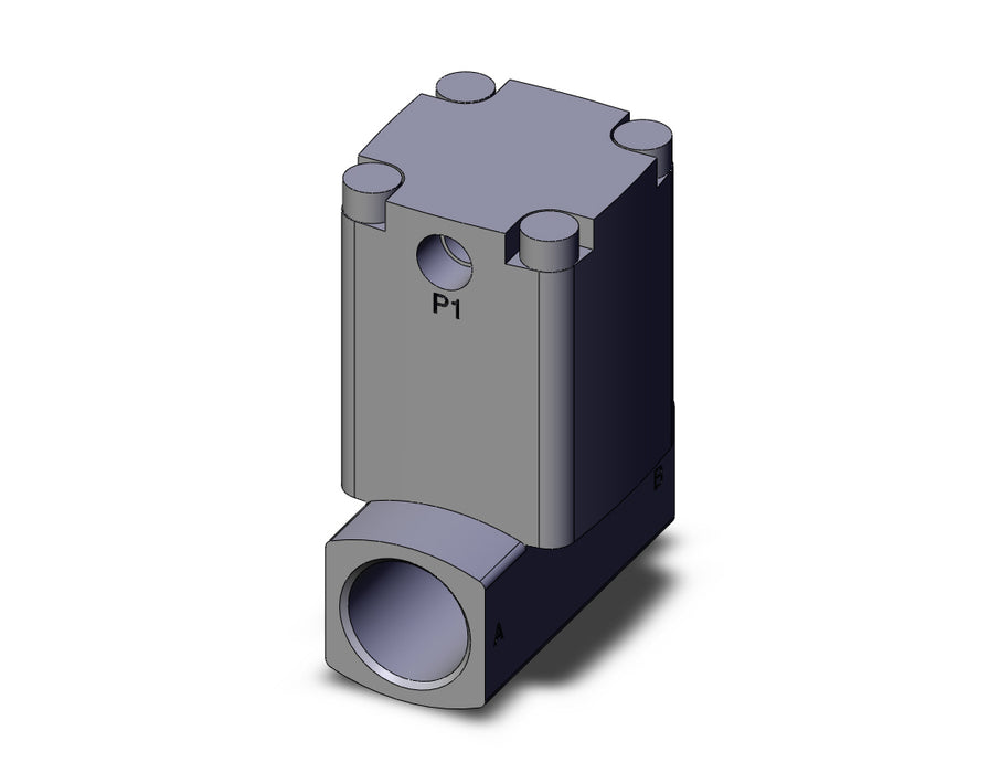 VNB204B-15A Process valve