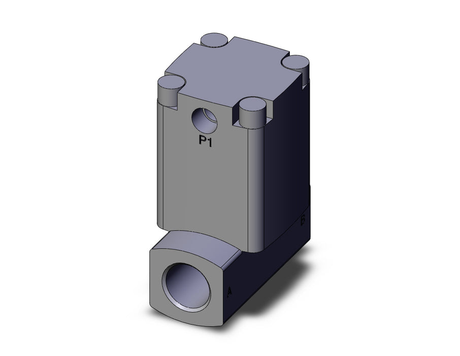 VNB204BS-10A Process valve