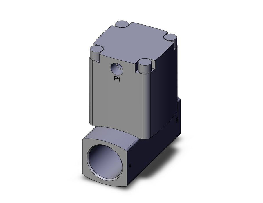 VNB304BS-F20A Process valve