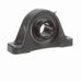 Mounted Cast Iron Two Bolt Pillow Block Ball Bearing 52100 Bearing Steel, Black Oxided Inner Setscrew Lock