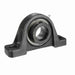 Mounted Cast Iron Two Bolt Pillow Block Ball Bearing 52100 Bearing Steel, Black Oxided Inner Eccentric Lock