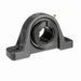 Mounted Cast Iron Two Bolt Low Base Pillow Block Ball Bearing 52100 Bearing Steel, Black Oxided Inner Concentric Lock Air Handling Housing Fit, Noise Tested