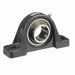 Mounted Cast Iron Two Bolt Pillow Block Ball Bearing 52100 Bearing Steel, Black Oxided Inner Setscrew Lock