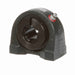 Mounted Cast Iron Tapped Base Pillow Block Ball Bearing 52100 Bearing Steel, Black Oxided Inner Concentric Lock