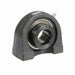 Mounted Cast Iron Tapped Base Pillow Block Ball Bearing 52100 Bearing Steel, Black Oxided Inner Eccentric Lock