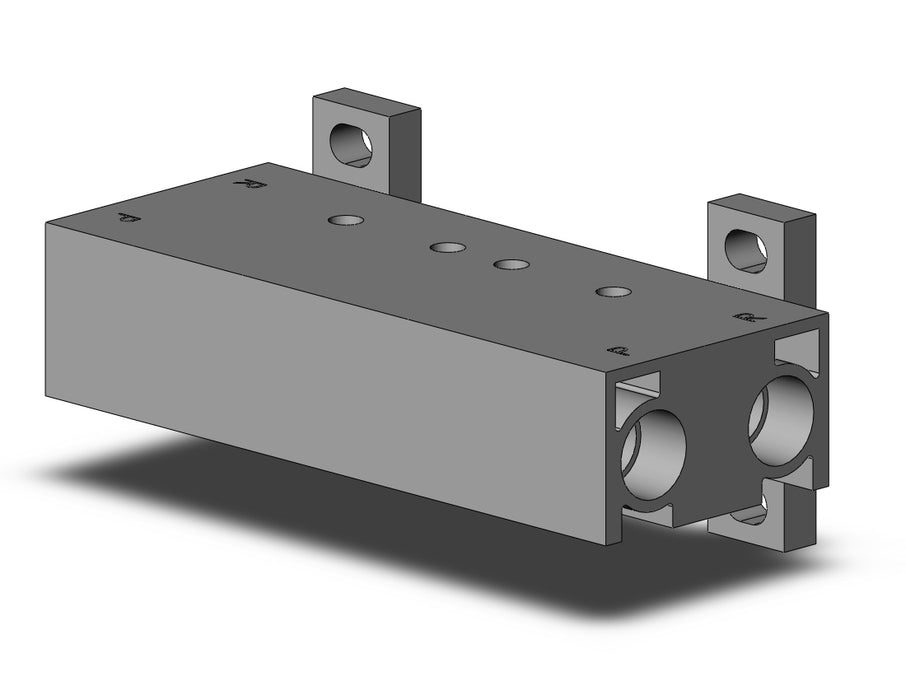 VV307-01-022-01N-F MANIFOLD, 2-STATION