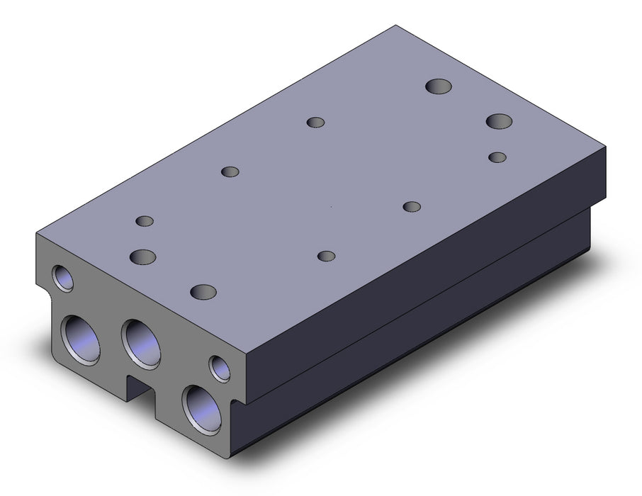 VV5FS1-30-031-01 VFS valve manifold