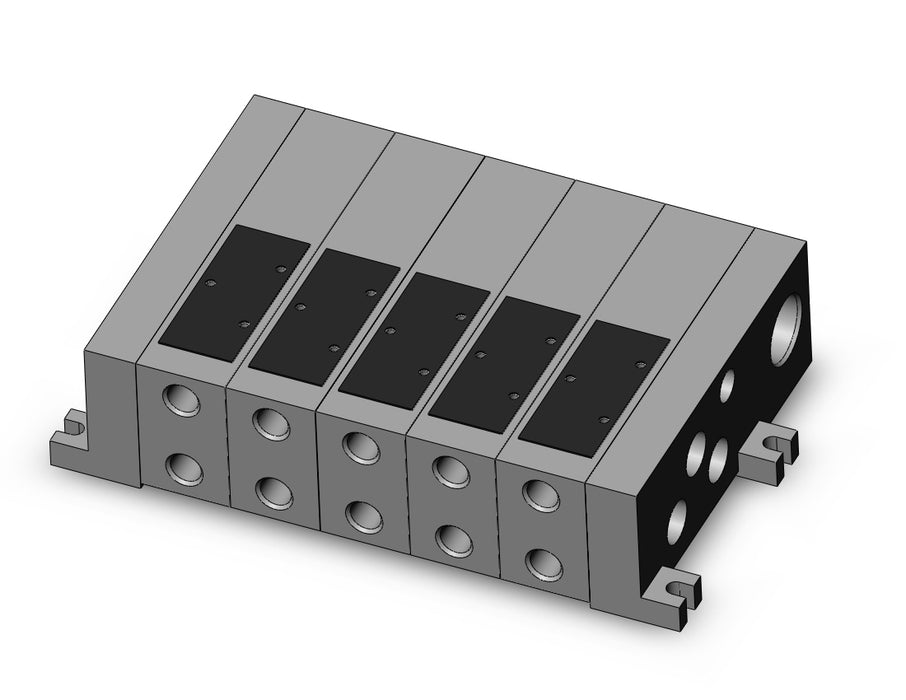 VV5FS2-01-051-01 VFS valve manifold