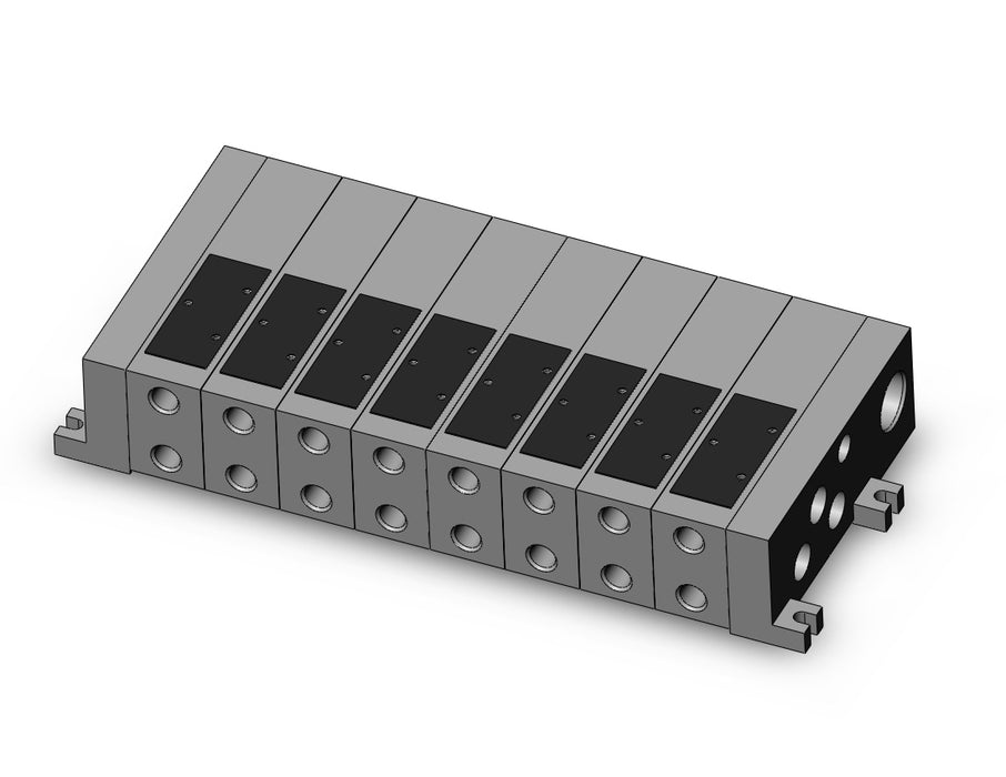 VV5FS2-01-081-01 VFS valve manifold