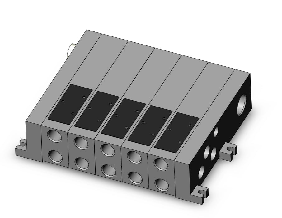 VV5FS2-01CD1-053-02F VFS valve manifold
