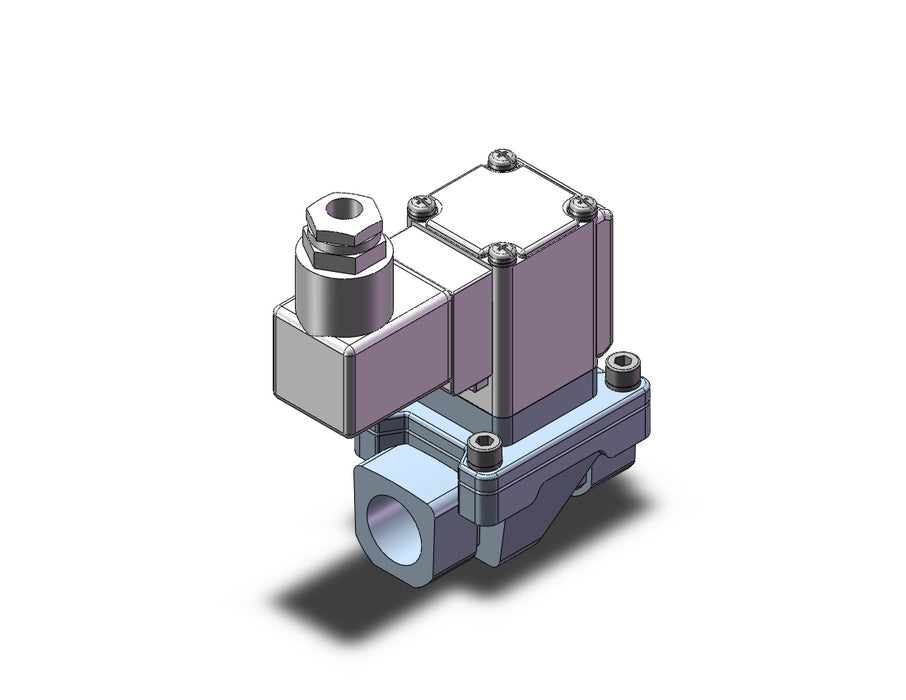 VXS245GGA Valve, Steam