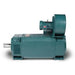 250 HP 1200/2000 RPM 3 Phase 60HZ RL3698 DPGFV Foot Mounted AC Electric Motor Variable Speed