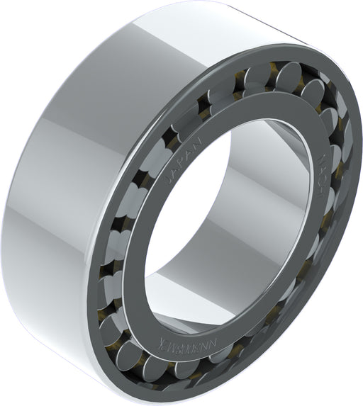 19mm Wide 30mm inside diameter 55mm outside diameter Cylindrical Roller bearing Double Row Medium Series No flanges on outer ring